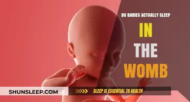 Do Babies Sleep in the Womb? Unveiling Fetal Rest Patterns