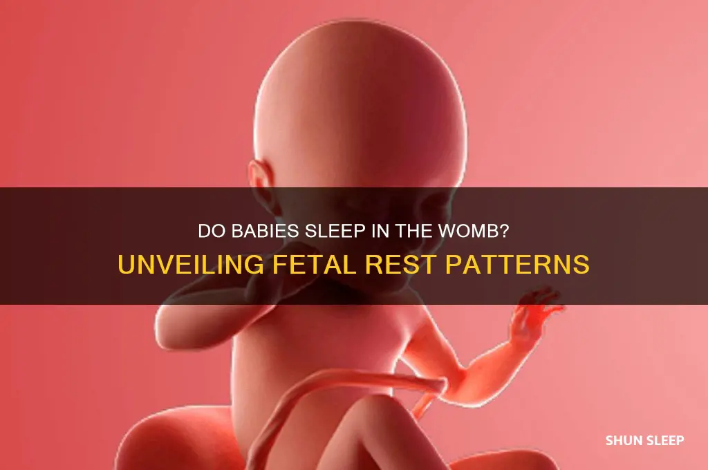 do babies actually sleep in the womb