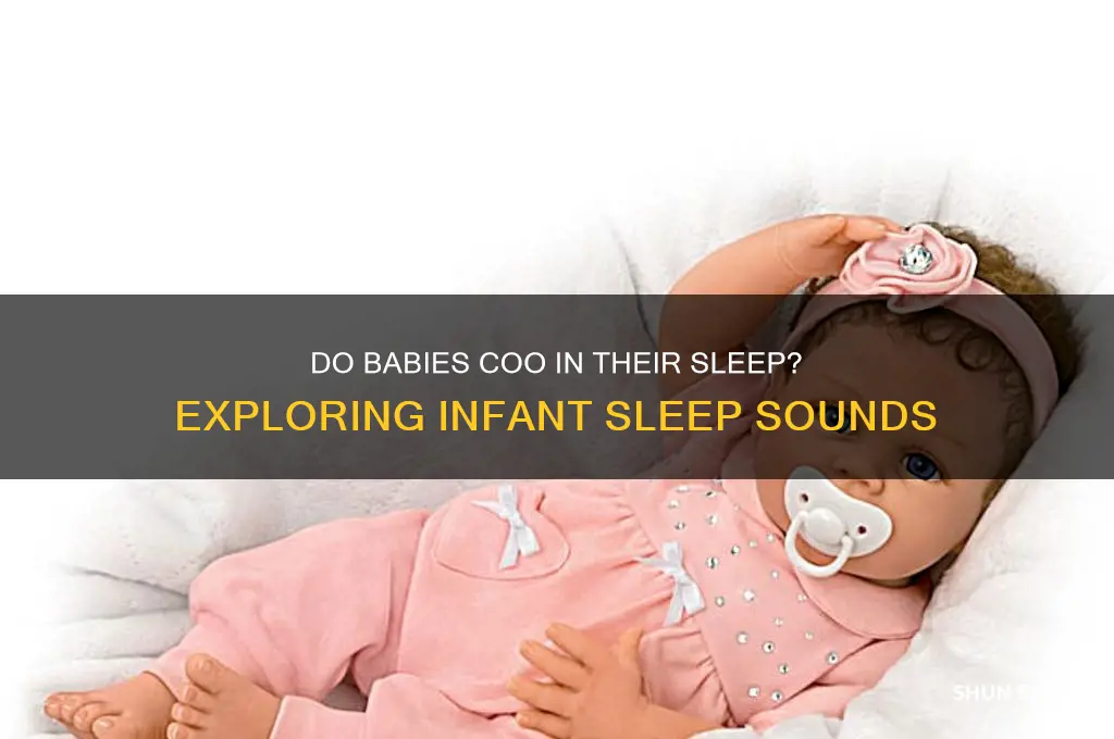 do babies coo in their sleep