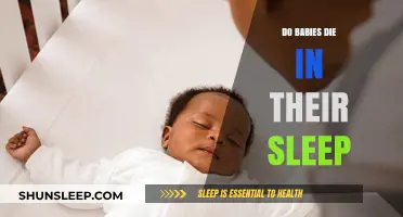 Understanding Sudden Infant Death Syndrome: Do Babies Die in Their Sleep?
