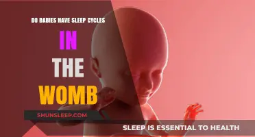 Do Babies Have Sleep Cycles in the Womb? Exploring Fetal Rest Patterns