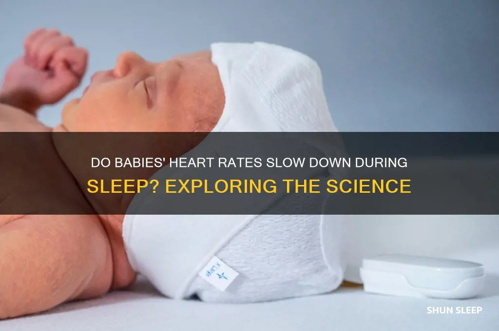 do babies heart rate slow when sleeping