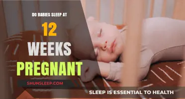 Understanding Fetal Sleep Patterns at 12 Weeks of Pregnancy