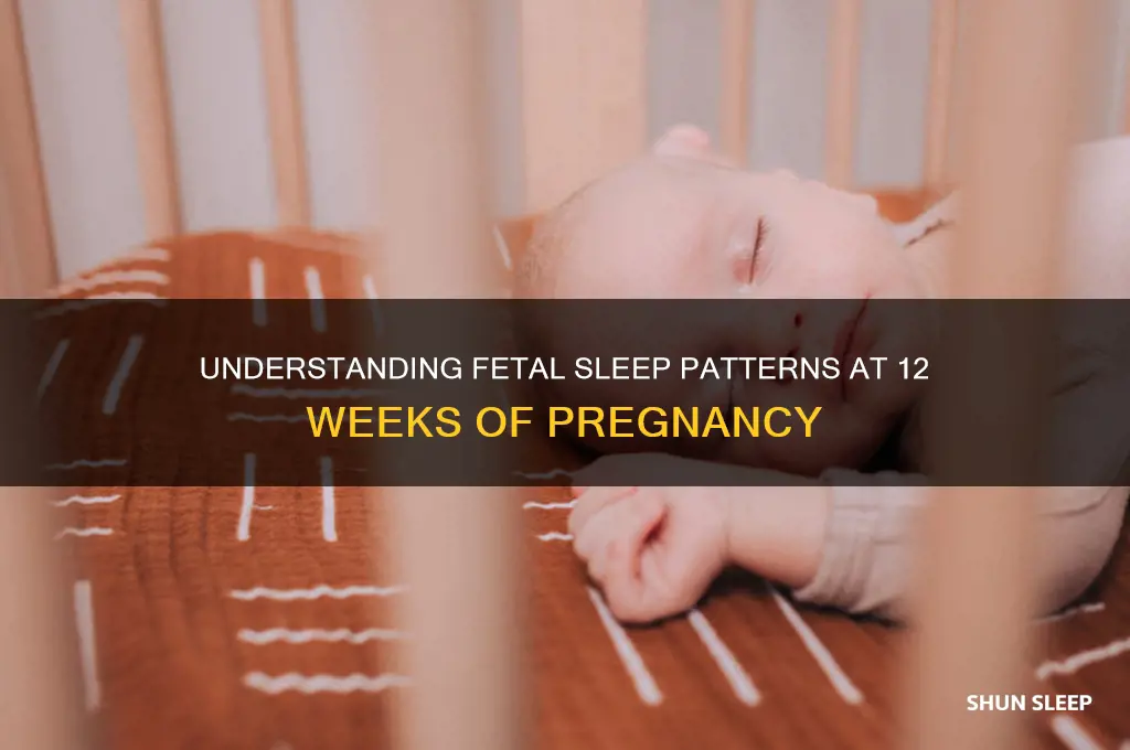 do babies sleep at 12 weeks pregnant