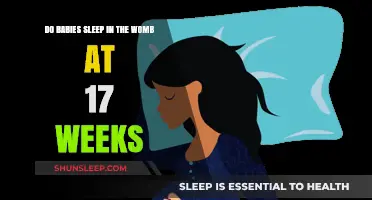 Do Babies Sleep in the Womb at 17 Weeks?