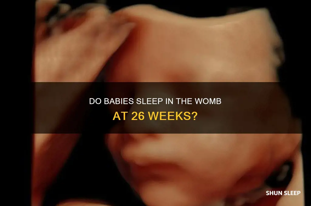 do babies sleep in the womb at 26 weeks