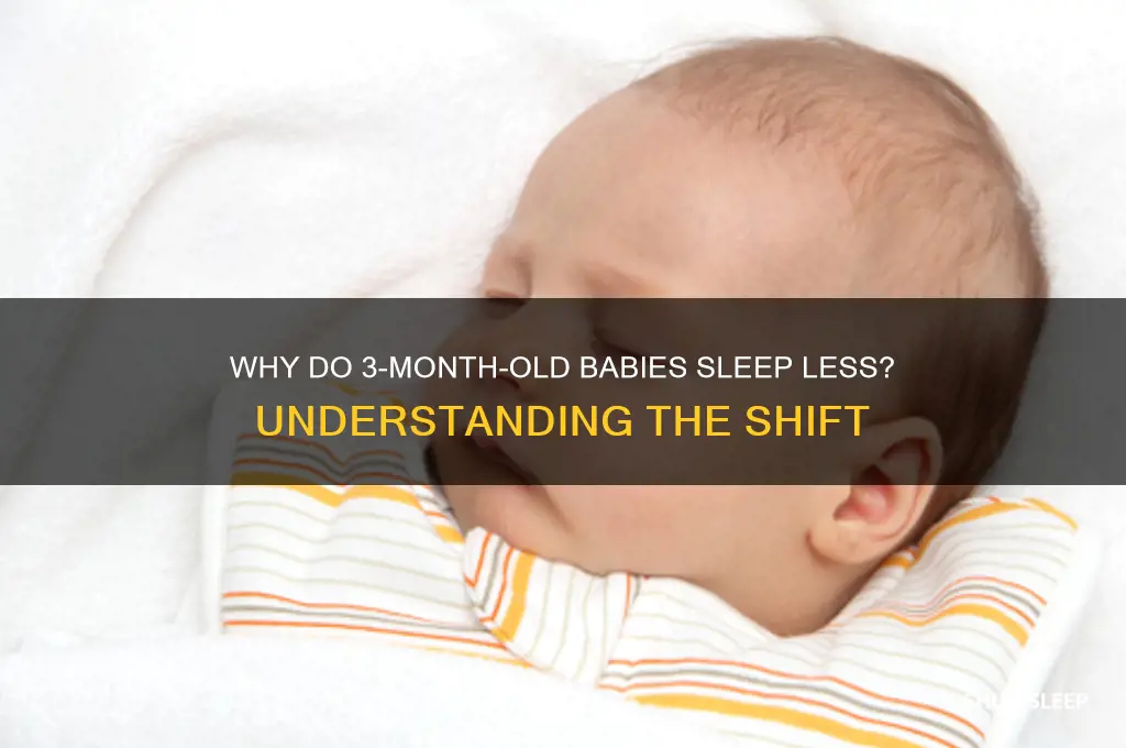do babies sleep less at 3 months