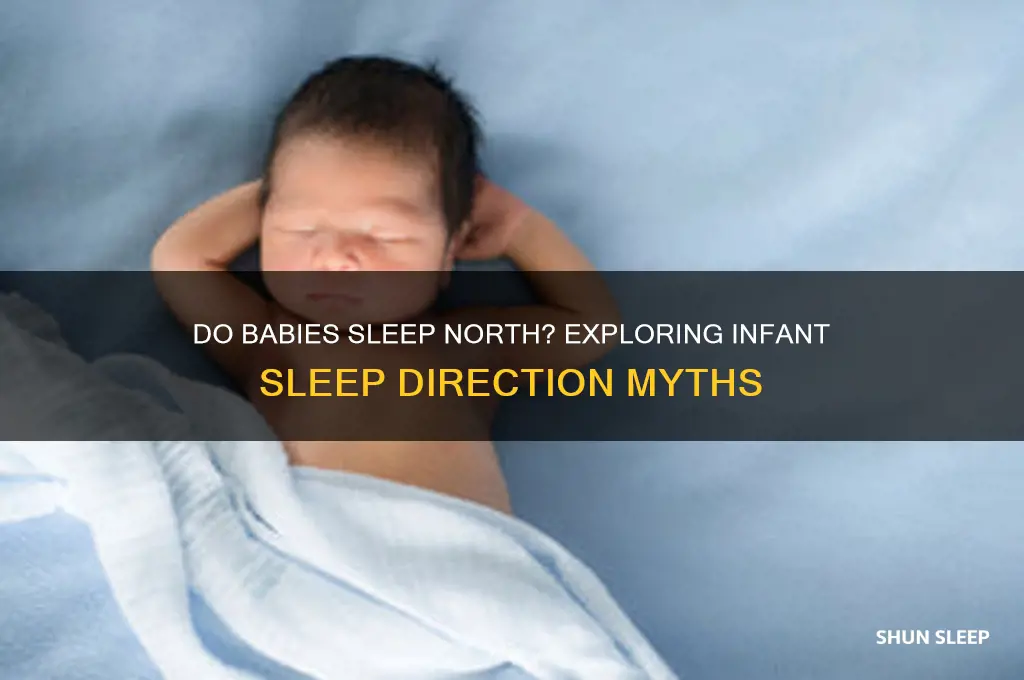 do babies sleep north