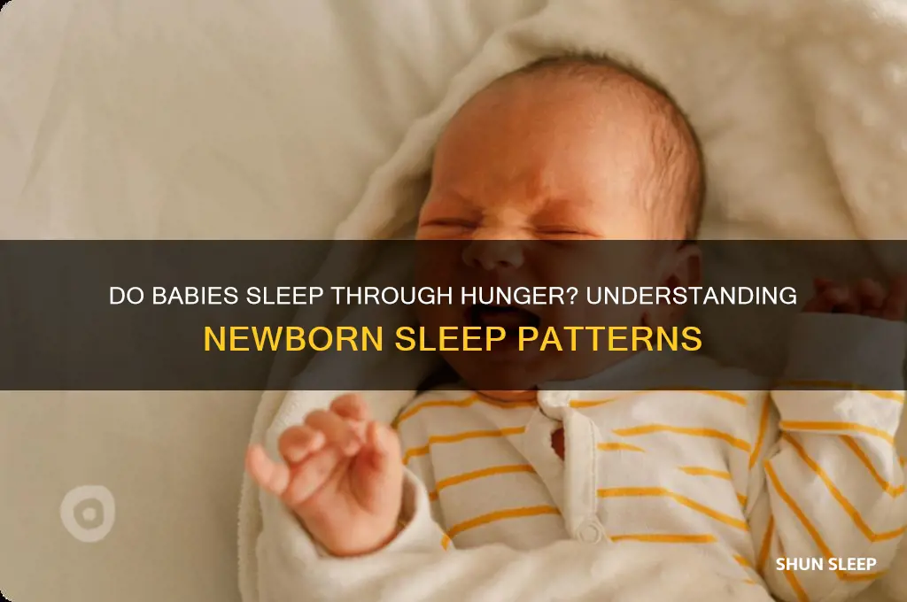 do babies sleep through hunger