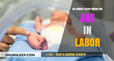 Do Babies Sleep During Labor? Understanding Fetal Rest Patterns