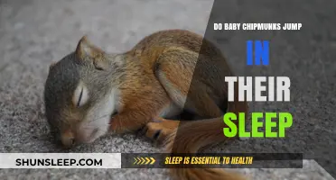 Do Baby Chipmunks Jump in Their Sleep? Unveiling the Adorable Mystery