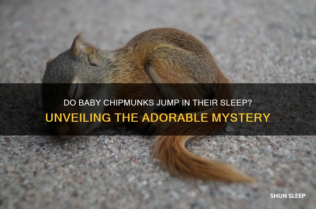 do baby chipmunks jump in their sleep