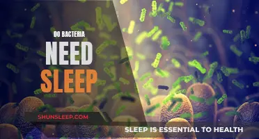 Bacteria and Sleep: What's the Connection?