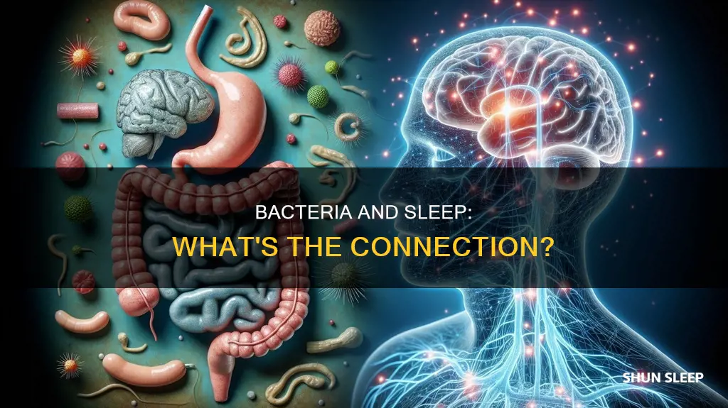 do bacteria need sleep