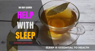 Bay Leaves for Better Sleep: Fact or Fiction?