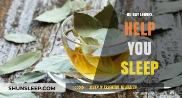 Bay Leaves and Sleep: Unveiling the Natural Remedy for Restful Nights