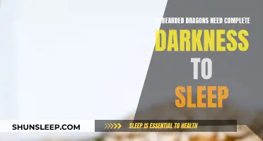 Bearded Dragons: Sleep and Darkness Preferences