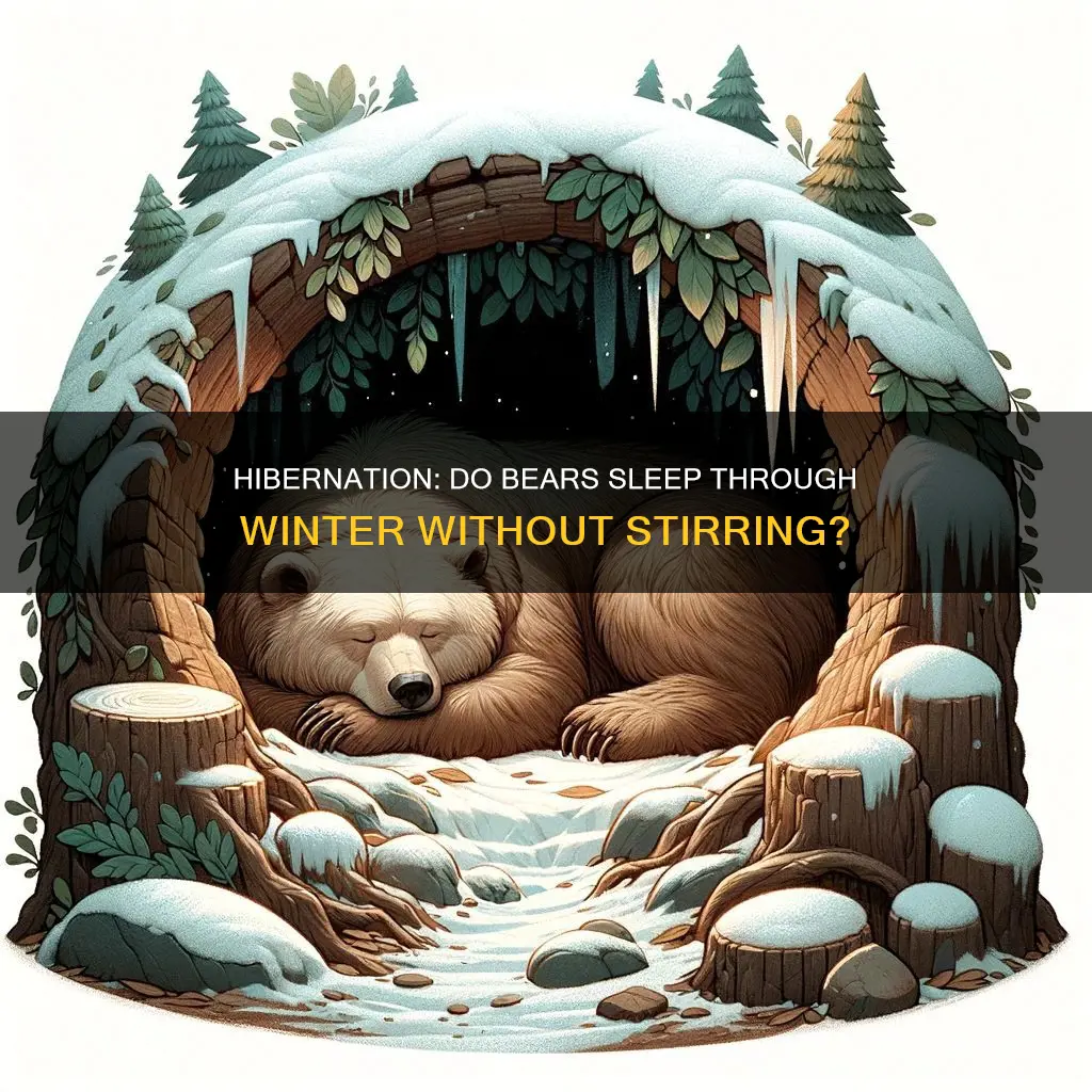 do bears sleep all winter without waking up