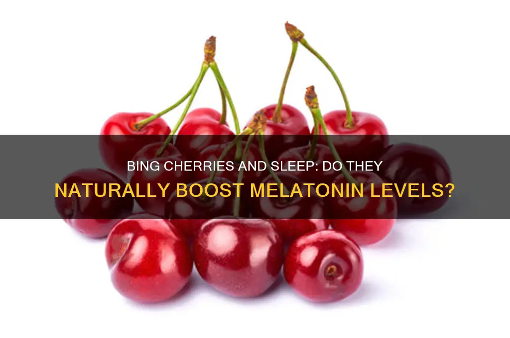 do bing cherries contain melatonin and help you sleep