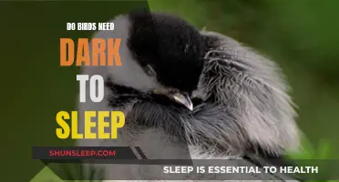 How Birds Sleep: The Role of Darkness