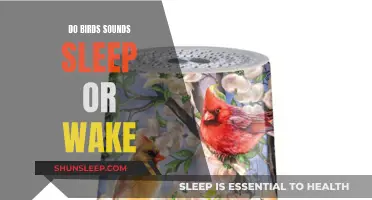 Exploring Birdsong: Sleep or Wakefulness?