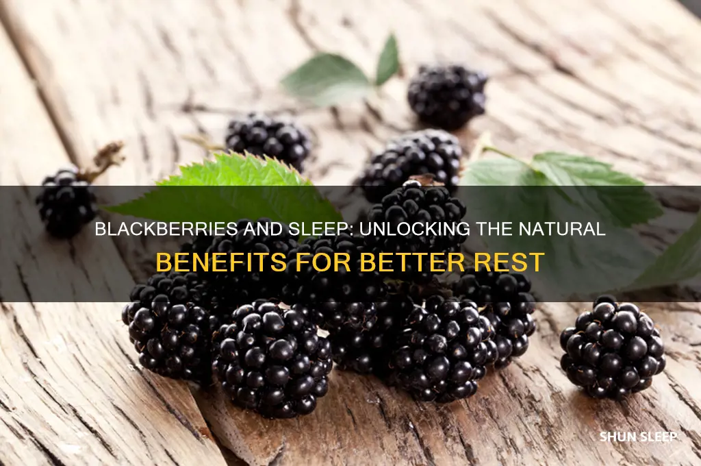 do blackberries help you sleep
