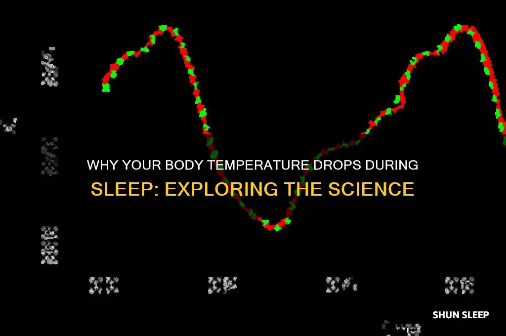 do bodies get colder when you sleep