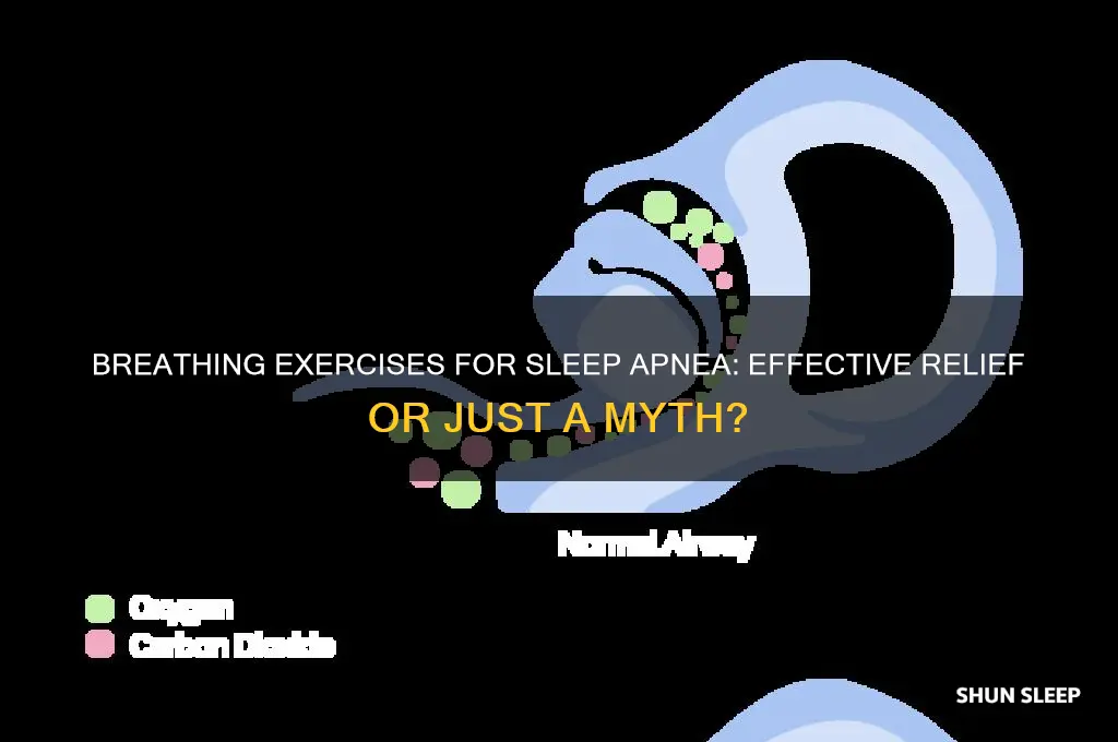 do breathing exercises help sleep apnea