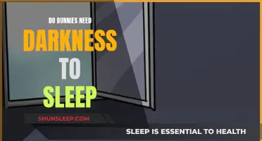 Bunnies and Sleep: Darkness or Light?