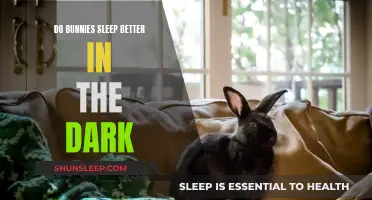 Darkness and Bunnies: A Sleep Story