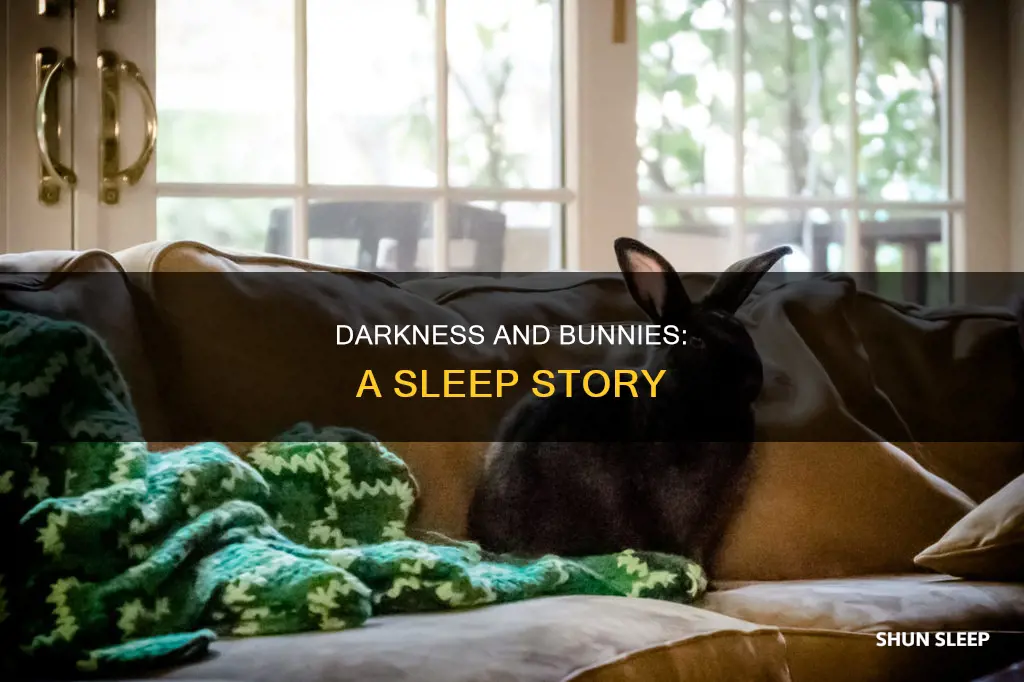 do bunnies sleep better in the dark