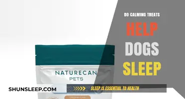 Calming Treats for Dogs: Do They Improve Sleep Quality?