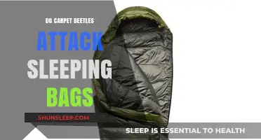 Carpet Beetles: Are Your Sleeping Bags Safe?