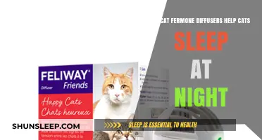 Cat Pheromone Diffusers: Enhancing Nighttime Sleep for Your Feline Friend