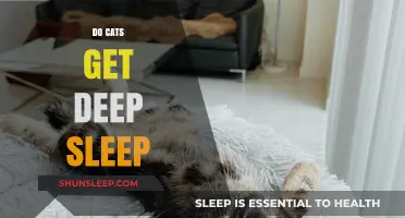 Do Cats Get Deep Sleep? Unraveling Feline Rest Patterns
