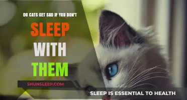 Do Cats Feel Sad When You Don't Sleep with Them?