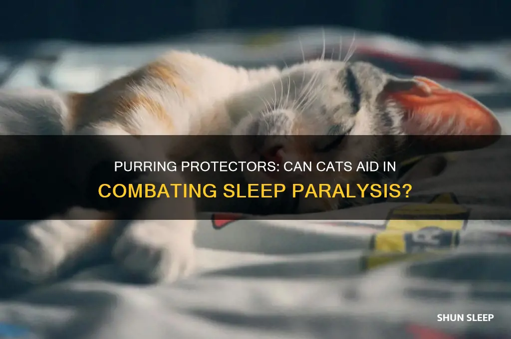 do cats help with sleep paralysis