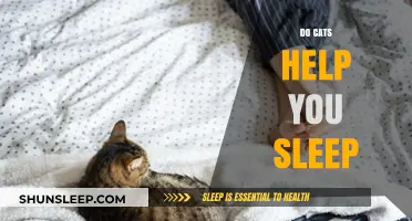 Purring Partners: How Cats Enhance Your Sleep Quality and Comfort