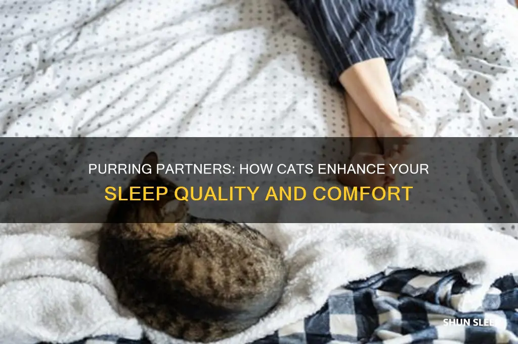 do cats help you sleep