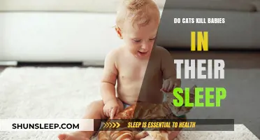 Do Cats Pose a Risk to Sleeping Babies? Separating Fact from Fiction