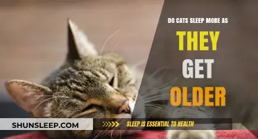 Why Older Cats Sleep More: Understanding Feline Aging and Rest Patterns
