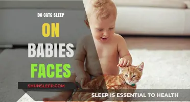 Why Cats Sleep on Babies' Faces: Safety, Myths, and Facts