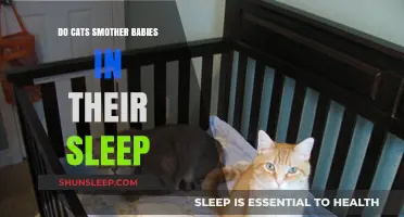 Cats and Cribs: Debunking the Myth of Smothering Babies