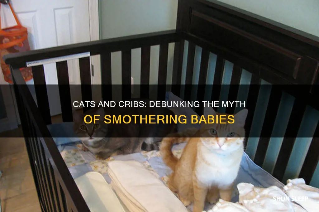 do cats smother babies in their sleep