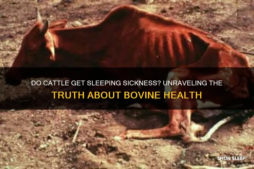 do cattle get sleeping sickness