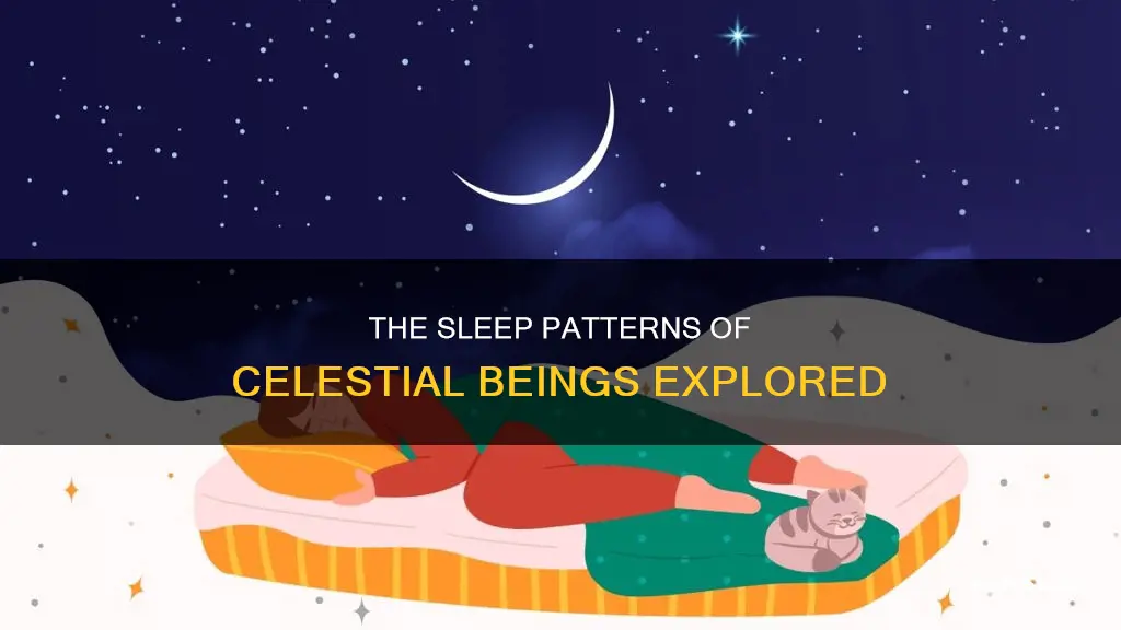 do celestial need to sleep