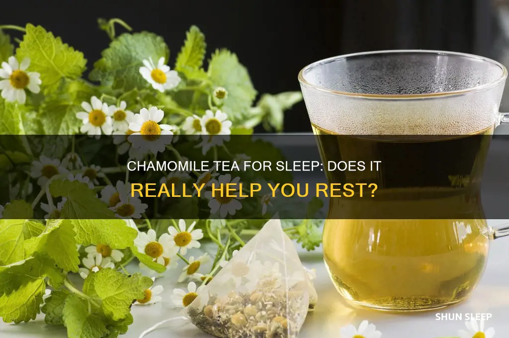do chamomile tea help you sleep