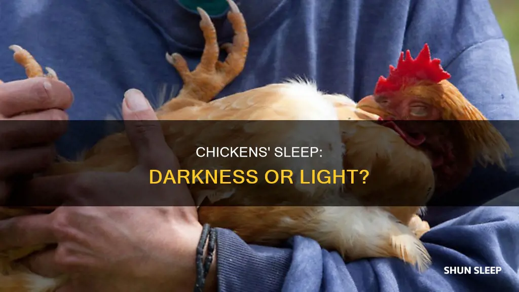 do chickens need dark to sleep