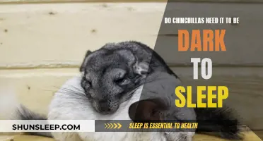 Chinchillas' Unique Sleep Requirements: Darkness or Light?