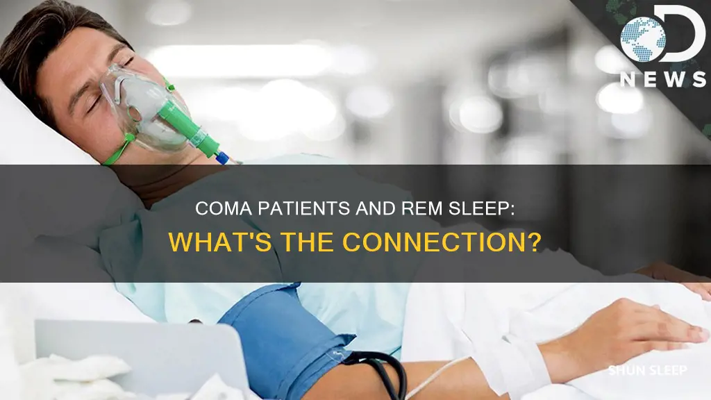 do coma patients have rem sleep